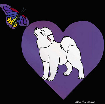 Reasons to Support Rescue