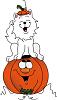 pumpkin3.jpg