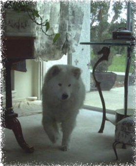 Star in Living Room